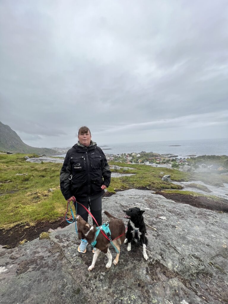 Att resa till Lofoten med 4 hundar och en husbil