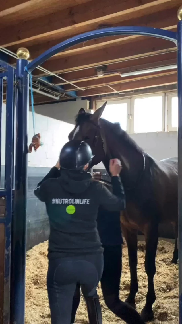 Long-time Nutrolin® user and professional show jumper Juulia Jyläs is set to compete in the FEI WBFSH Jumping World Breeding Championship for Young Horses 2024 in Lanaken, with three talented youngsters, all offspring of her once-in-a-lifetime horse, Finishing Touch Wareslage "Fini." Best of luck to Team Juulia Jyläs—we share the dream 💚#Nutrolinlife #Nutrolin #Nutrolinhorse #Equestrian #showjumping #Sporthorse @juuliajylas #Esteratsastus #hoppning